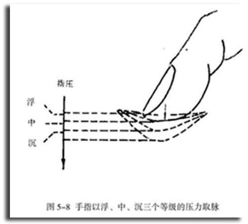 五,正常脉象